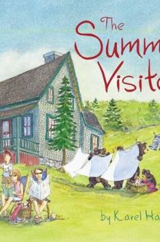 Cover of The Summer Visitors