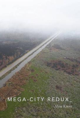 Book cover for Mega-City Redux