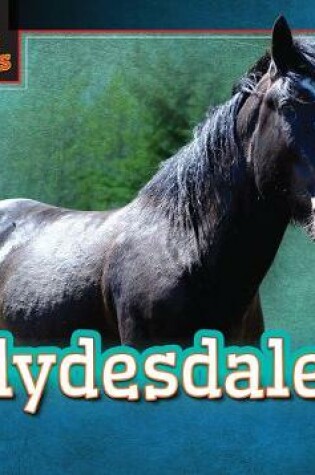 Cover of Clydesdales