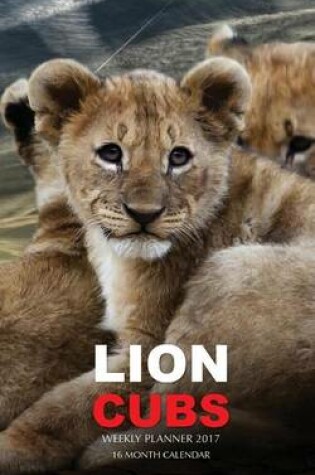 Cover of Lion Cubs Weekly Planner 2017