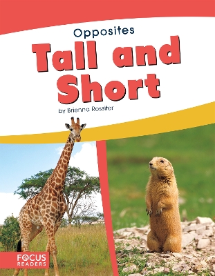 Book cover for Tall and Short