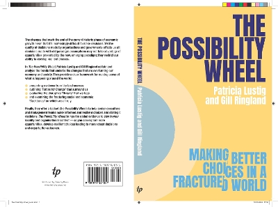 Book cover for The Possibility Wheel