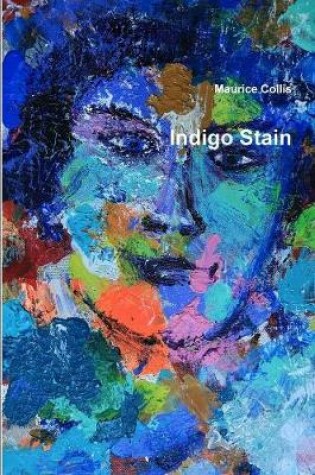 Cover of Indigo Stain