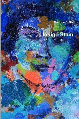 Book cover for Indigo Stain