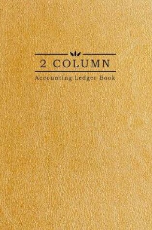 Cover of 2 Column Accounting Ledger Book