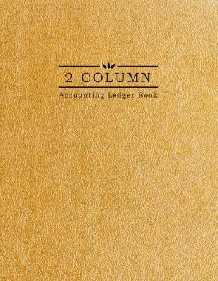 Book cover for 2 Column Accounting Ledger Book