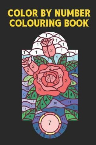 Cover of Color by Number Colouring Book