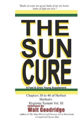 Book cover for The Sun Cure