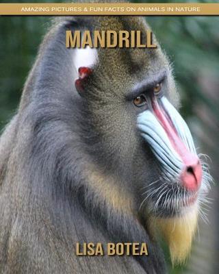 Book cover for Mandrill