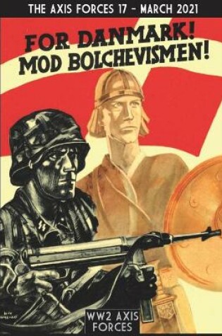 Cover of The Axis Forces 17