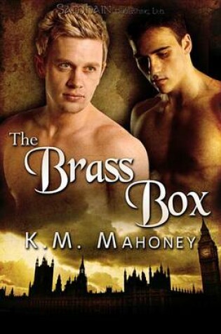 Cover of The Brass Box