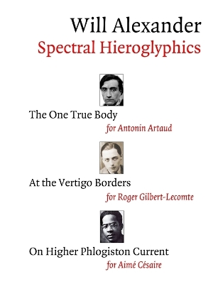 Book cover for Spectral Hieroglyphics