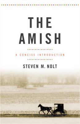 Book cover for The Amish