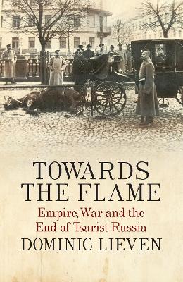 Book cover for Towards the Flame