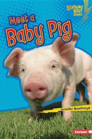 Cover of Meet a Baby Pig
