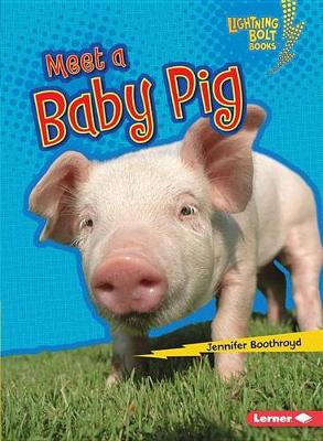 Book cover for Meet a Baby Pig