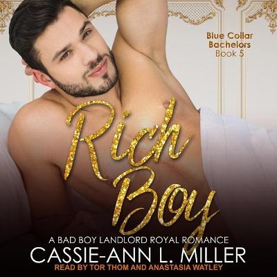 Book cover for Rich Boy