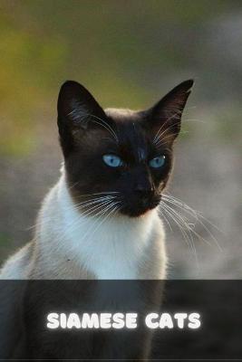 Book cover for Siamese Cats