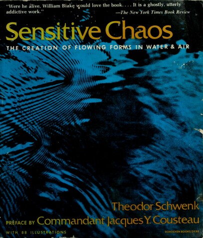 Book cover for Sensitive Chaos