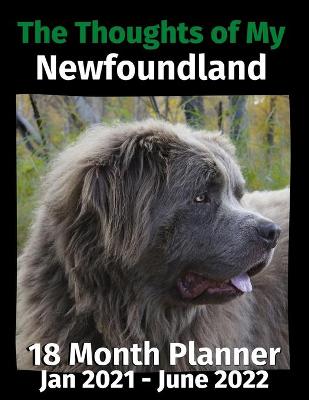 Book cover for The Thoughts of My Newfoundland