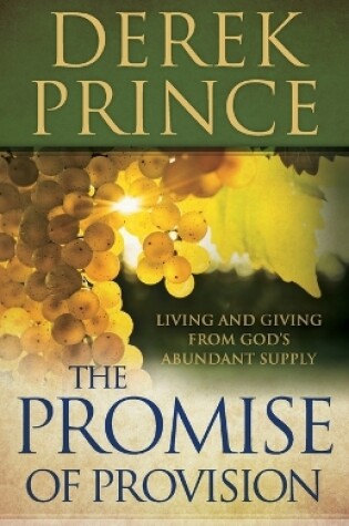 Cover of The Promise of Provision