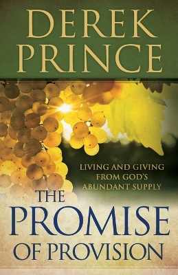 Book cover for The Promise of Provision