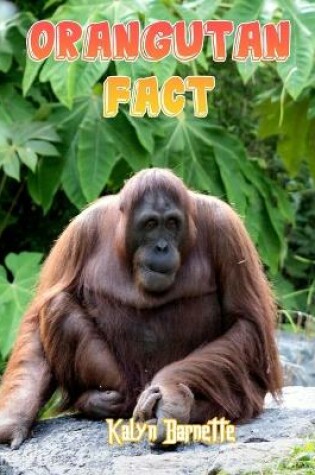 Cover of Orangutan Fact