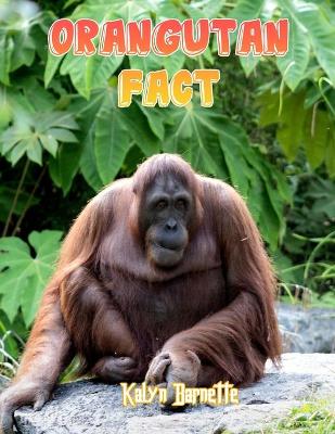 Book cover for Orangutan Fact