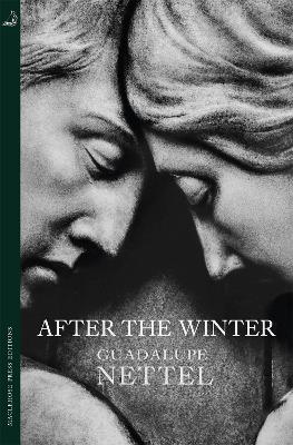 Book cover for After the Winter