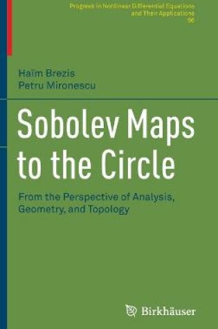 Cover of Sobolev Maps to the Circle