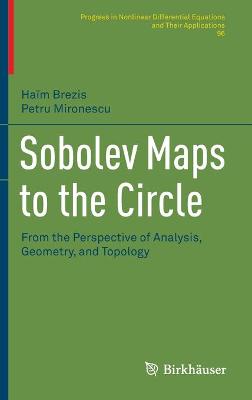 Cover of Sobolev Maps to the Circle