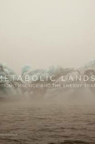 Cover of Metabolic Landscape: Perception, Practice and the Energy Transition