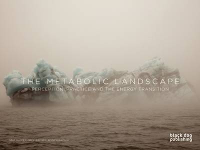 Book cover for Metabolic Landscape: Perception, Practice and the Energy Transition