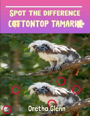 Book cover for Spot the difference Cottontop Tamarin