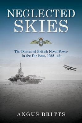 Book cover for Neglected Skies