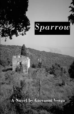 Book cover for Sparrow : A Novel