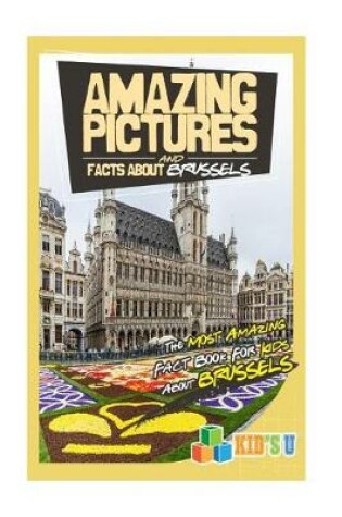 Cover of Amazing Pictures and Facts about Brussels