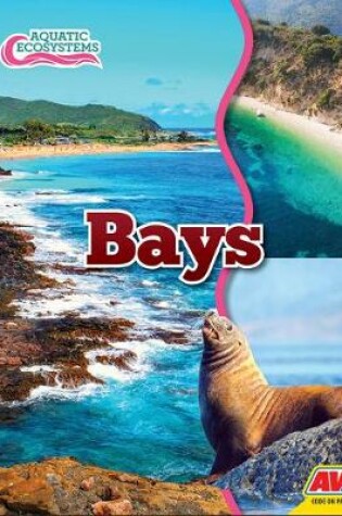 Cover of Bays