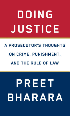 Book cover for Doing Justice