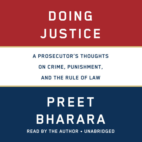 Book cover for Doing Justice