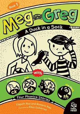 Book cover for A Duck in a Sock