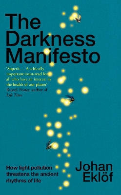 Book cover for The Darkness Manifesto