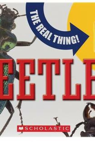 Cover of Real Thing! Beetles