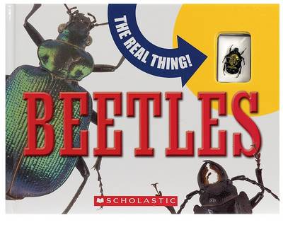 Book cover for Real Thing! Beetles