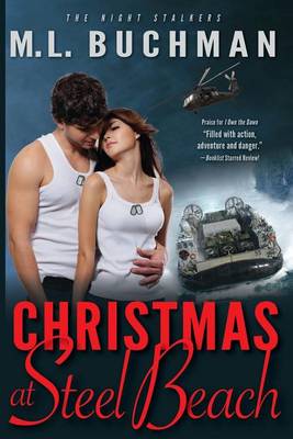 Book cover for Christmas at Steel Beach