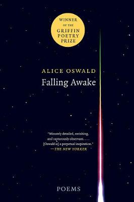 Book cover for Falling Awake