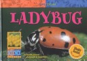 Book cover for Ladybug