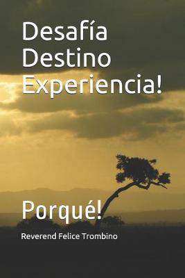 Book cover for Desafia Destino Experiencia!