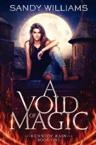 Cover of A Void of Magic