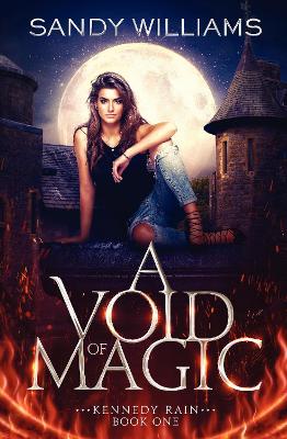 Book cover for A Void of Magic